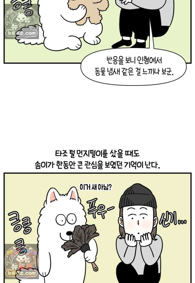 극한견주 시즌2 75화 대왕주둥이 25