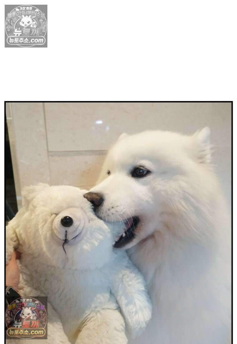 극한견주 시즌2 75화 대왕주둥이 27