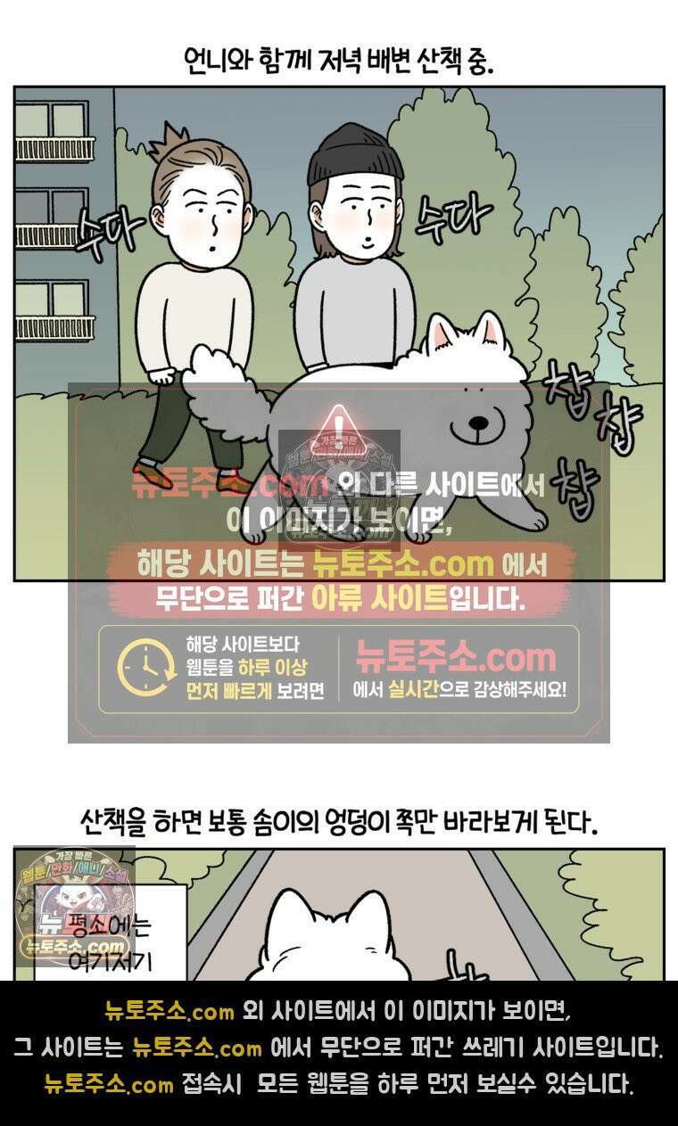 극한견주 시즌2 83화 바닥에 떨어진 음식 주워먹기 2