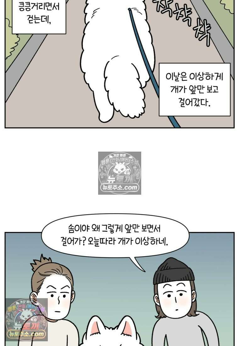 극한견주 시즌2 83화 바닥에 떨어진 음식 주워먹기 3