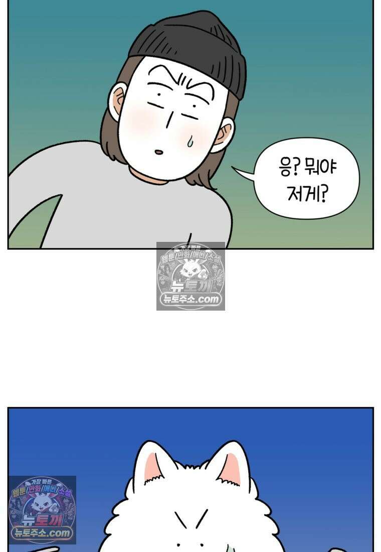 극한견주 시즌2 83화 바닥에 떨어진 음식 주워먹기 8