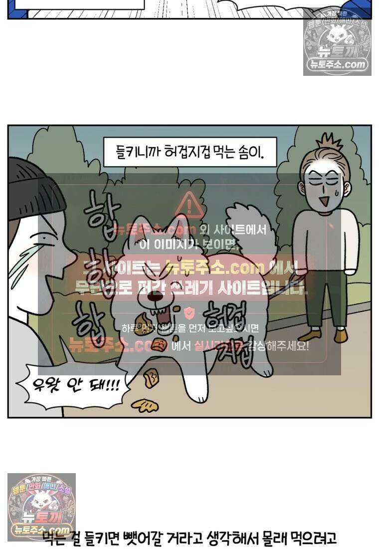 극한견주 시즌2 83화 바닥에 떨어진 음식 주워먹기 10