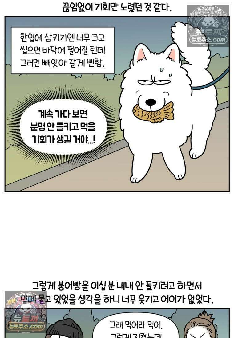 극한견주 시즌2 83화 바닥에 떨어진 음식 주워먹기 11