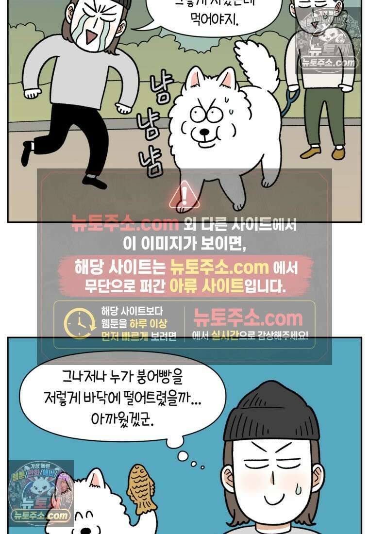 극한견주 시즌2 83화 바닥에 떨어진 음식 주워먹기 12
