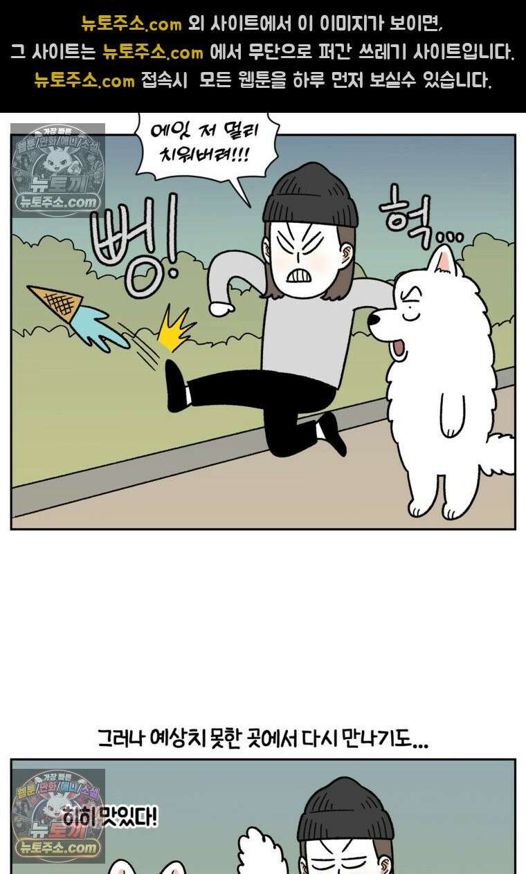 극한견주 시즌2 83화 바닥에 떨어진 음식 주워먹기 16
