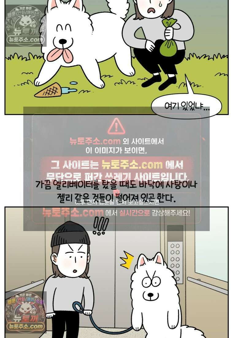 극한견주 시즌2 83화 바닥에 떨어진 음식 주워먹기 17