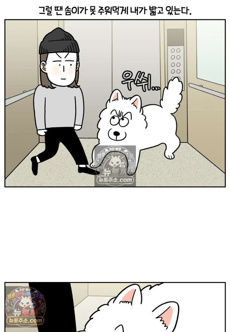 극한견주 시즌2 83화 바닥에 떨어진 음식 주워먹기 19