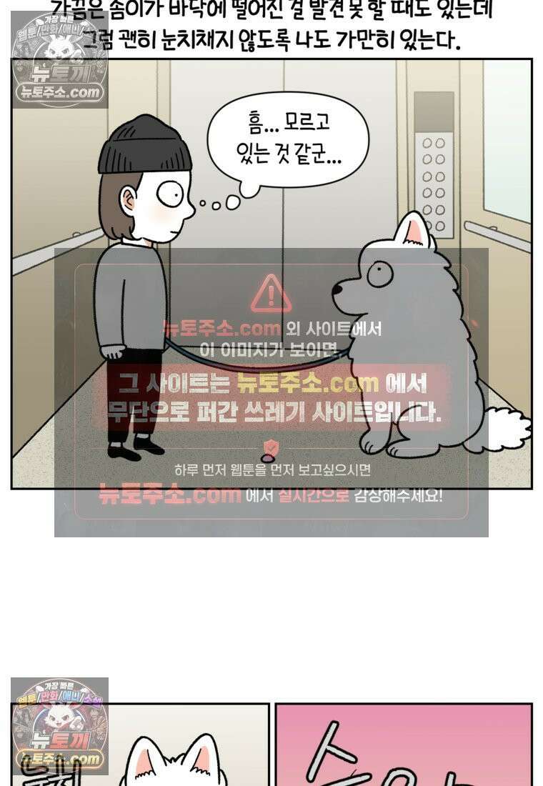 극한견주 시즌2 83화 바닥에 떨어진 음식 주워먹기 23