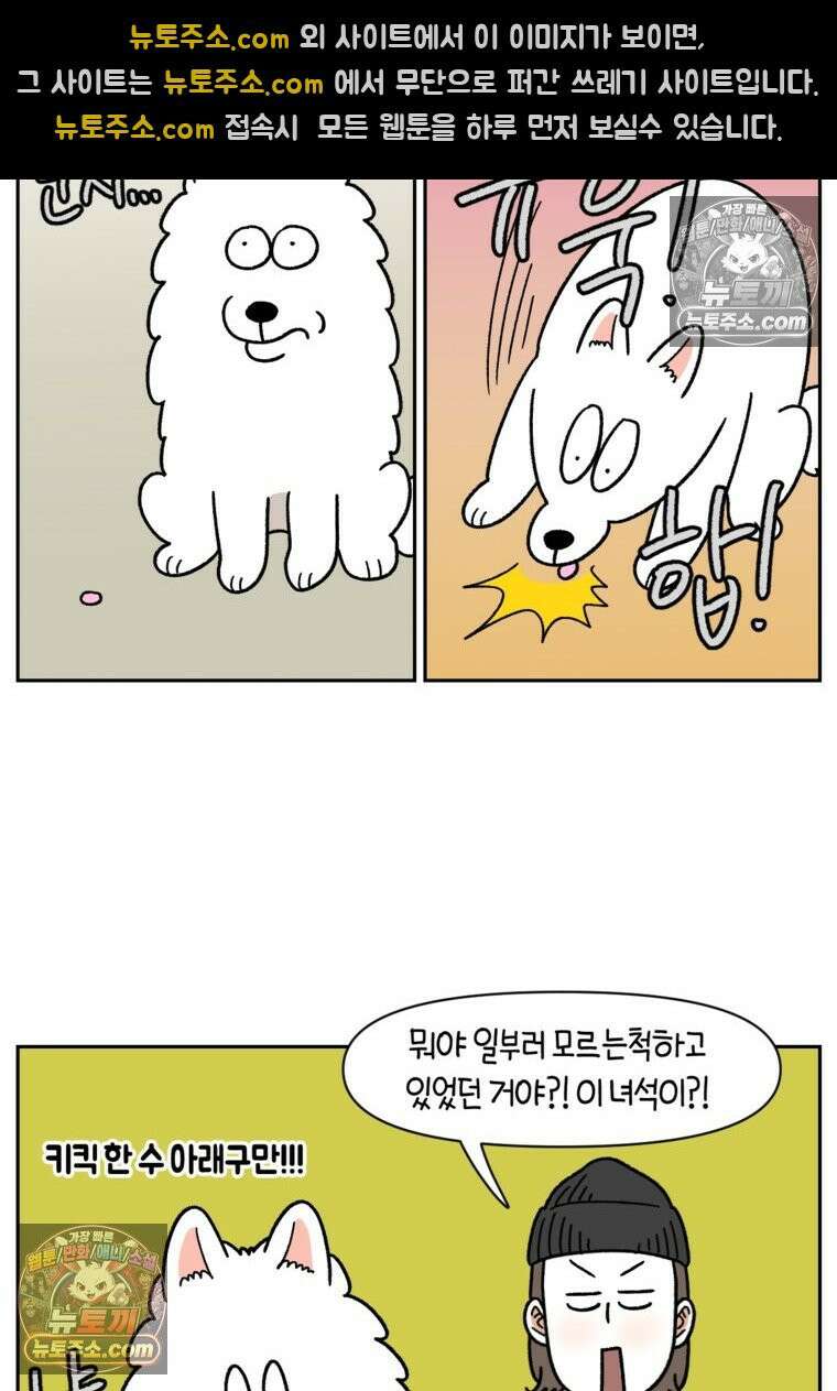 극한견주 시즌2 83화 바닥에 떨어진 음식 주워먹기 24