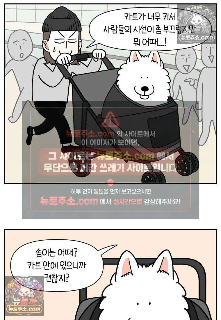 극한견주 시즌2 100화 펫 카트(1부 완결) 14