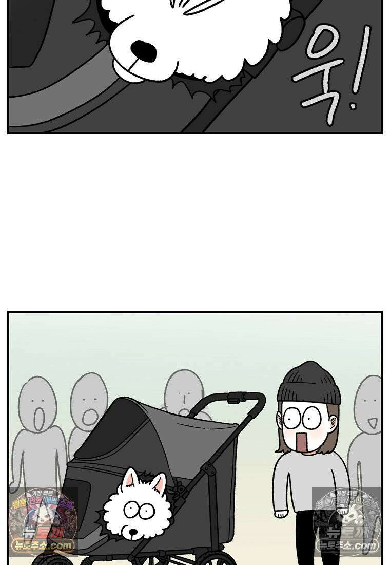 극한견주 시즌2 100화 펫 카트(1부 완결) 19