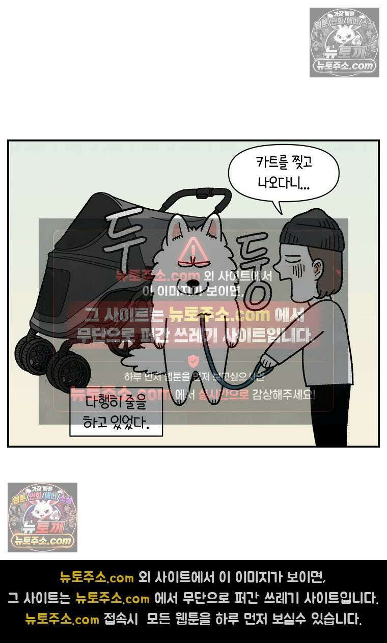 극한견주 시즌2 100화 펫 카트(1부 완결) 21