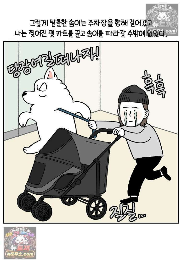 극한견주 시즌2 100화 펫 카트(1부 완결) 22
