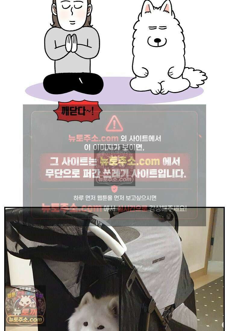 극한견주 시즌2 100화 펫 카트(1부 완결) 25