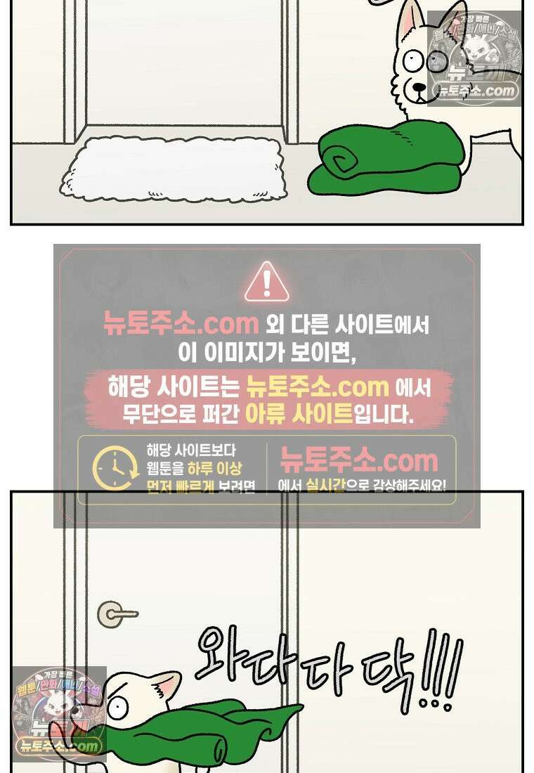 극한견주 시즌2 110화 괴도솜숑 4