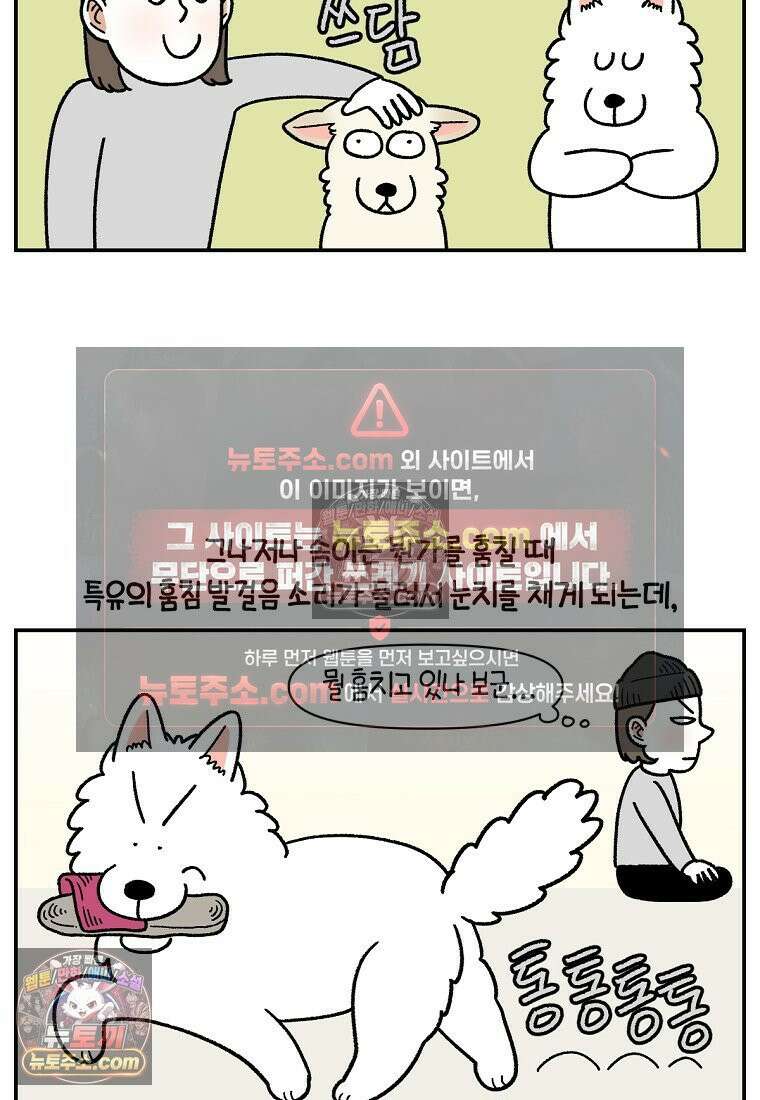 극한견주 시즌2 110화 괴도솜숑 9