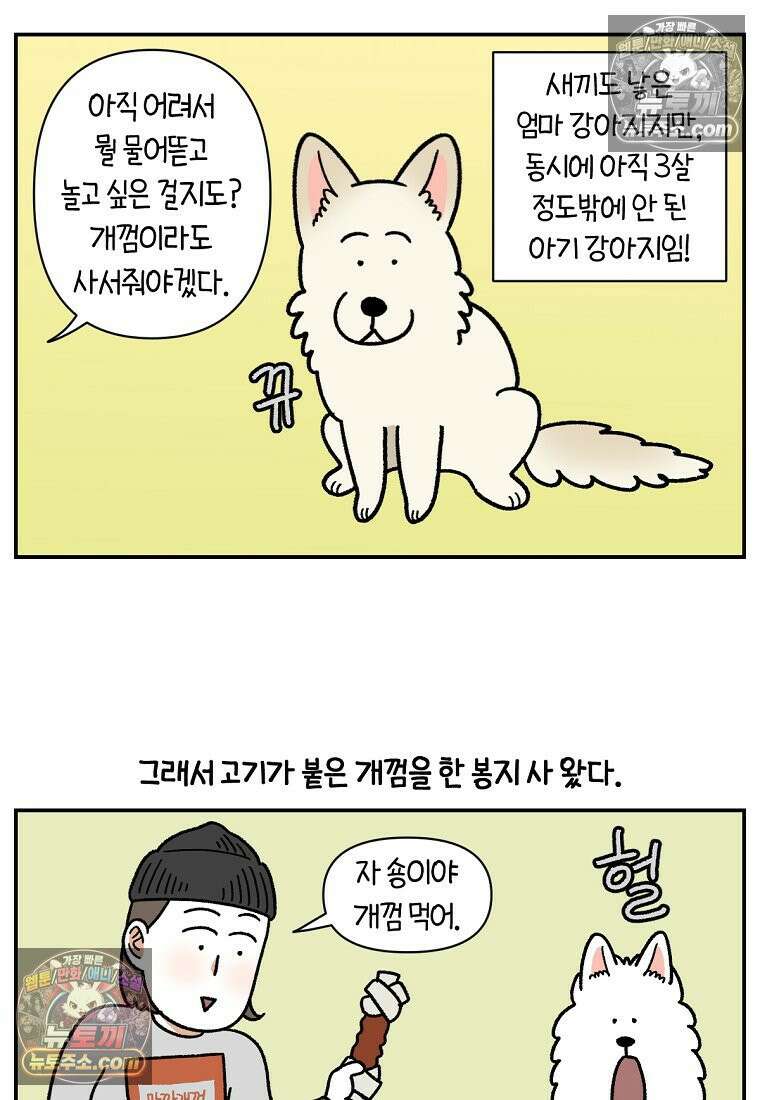 극한견주 시즌2 110화 괴도솜숑 11