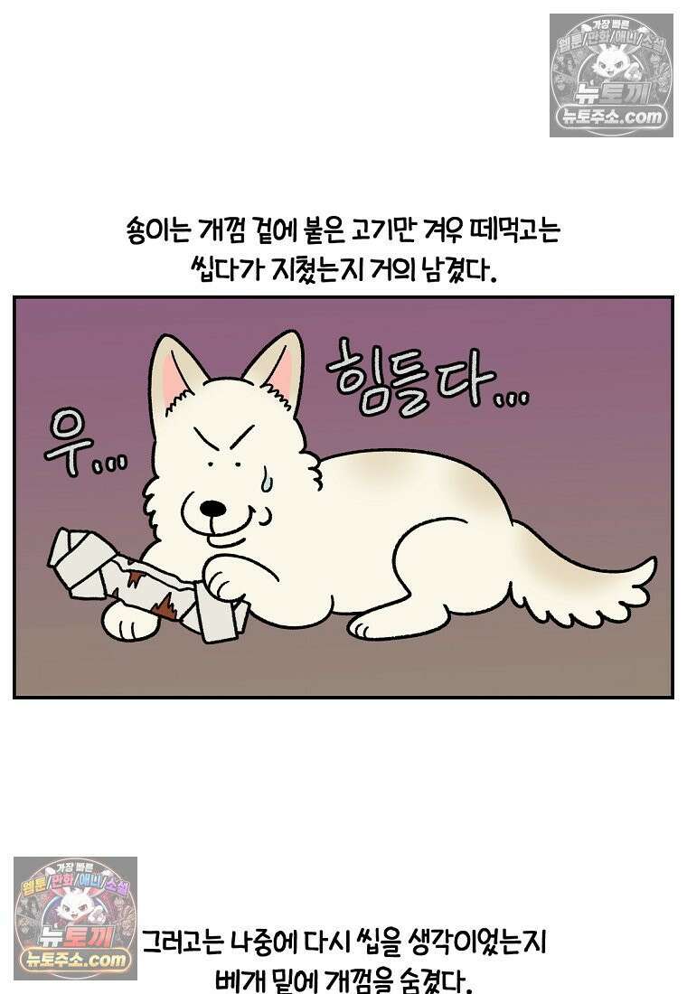 극한견주 시즌2 110화 괴도솜숑 14