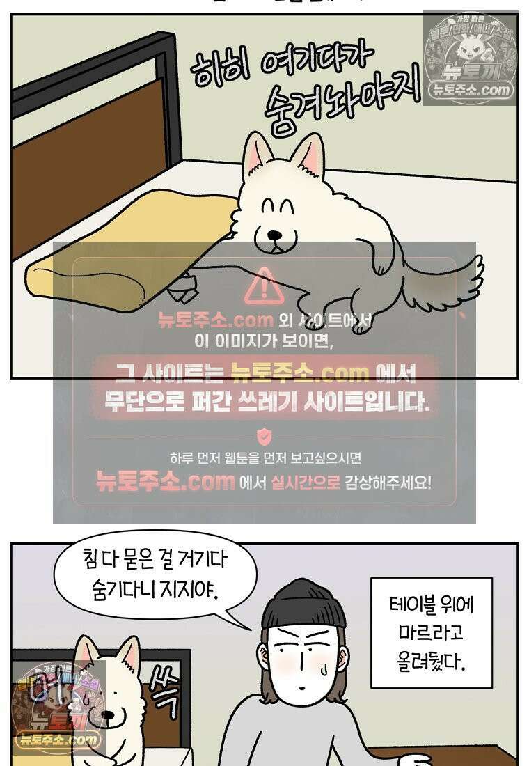 극한견주 시즌2 110화 괴도솜숑 15