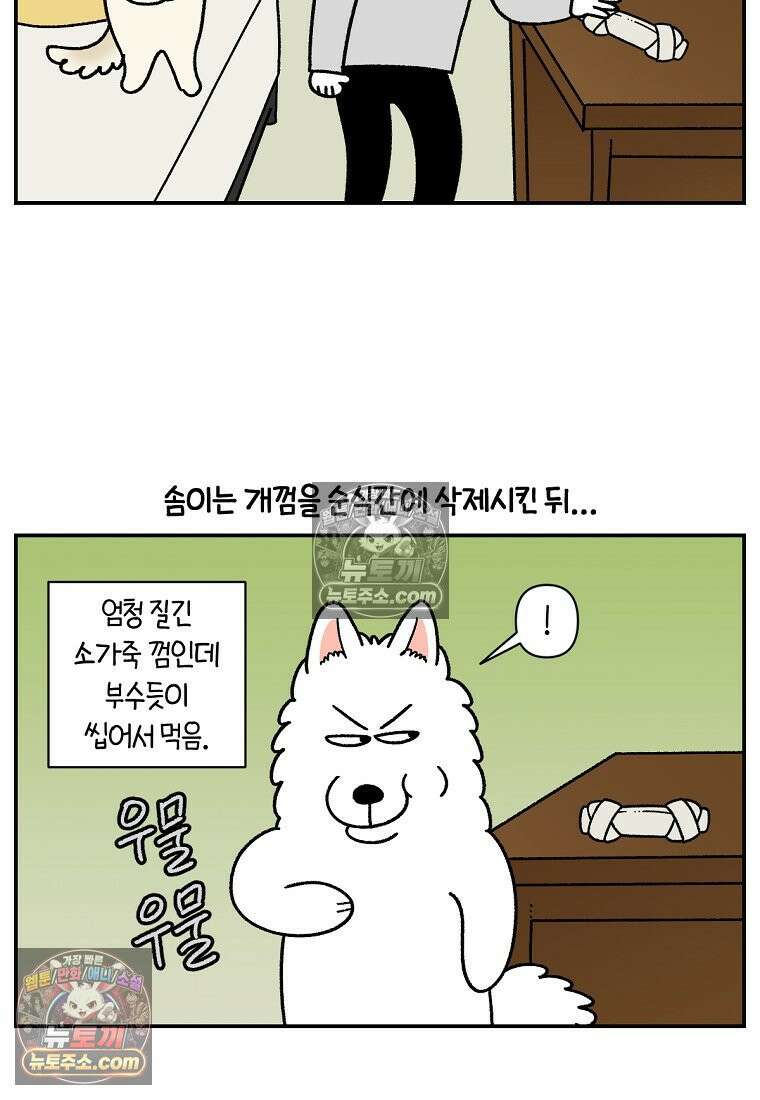 극한견주 시즌2 110화 괴도솜숑 16