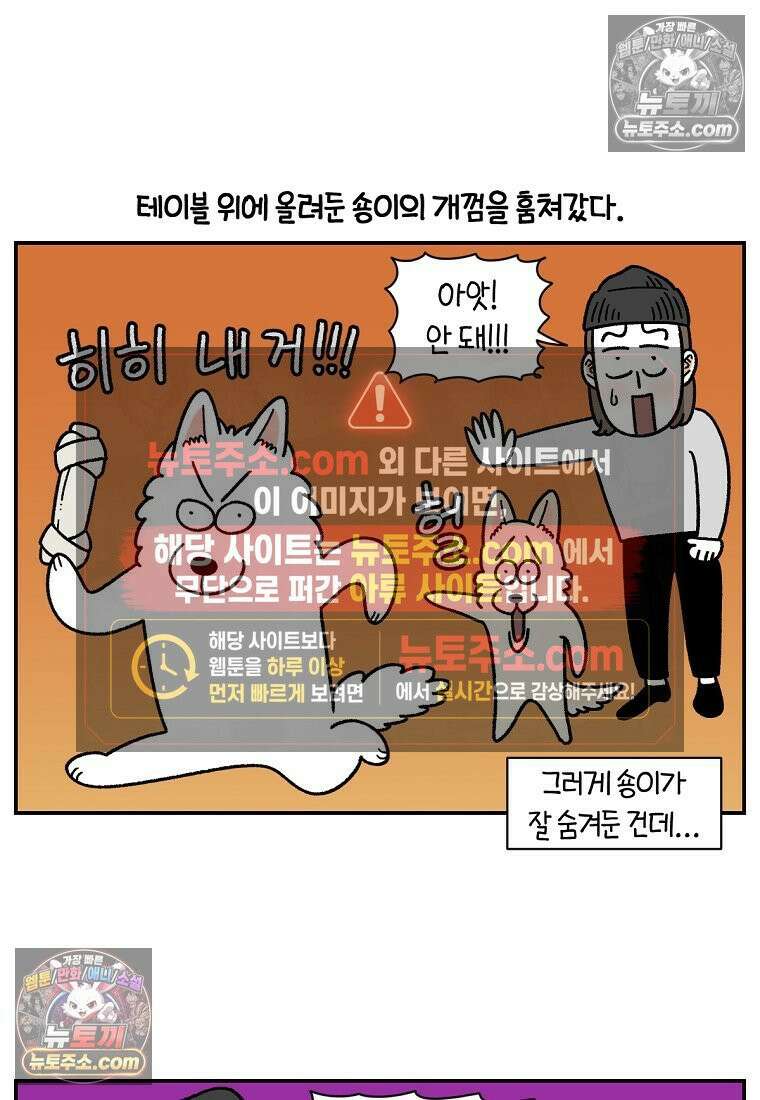 극한견주 시즌2 110화 괴도솜숑 17