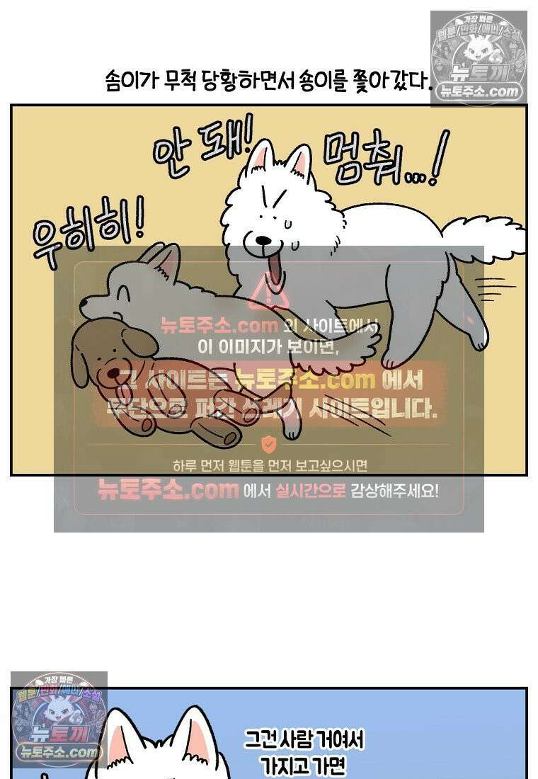 극한견주 시즌2 110화 괴도솜숑 21