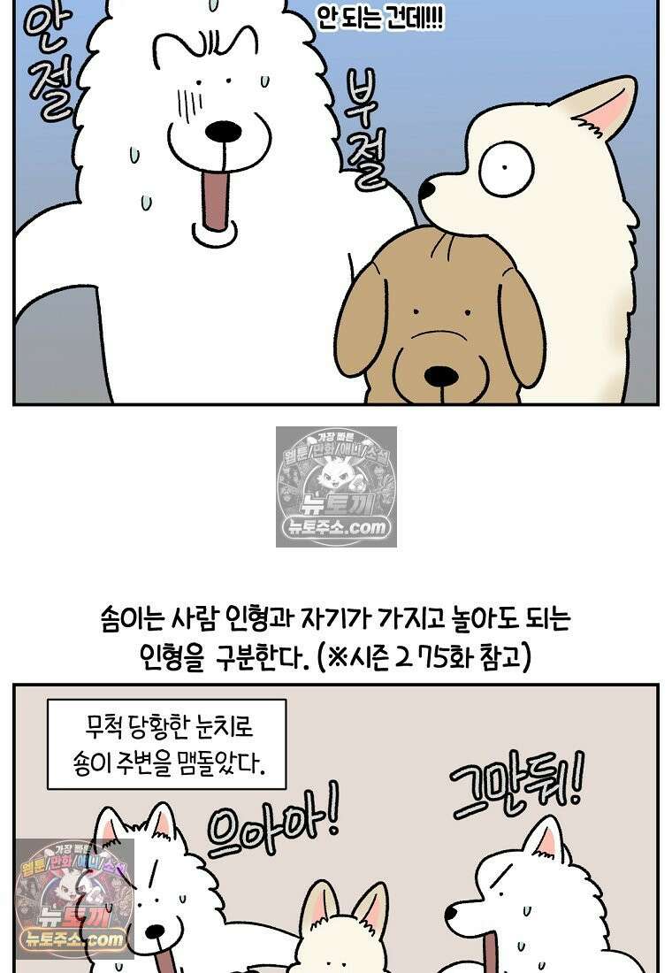 극한견주 시즌2 110화 괴도솜숑 22