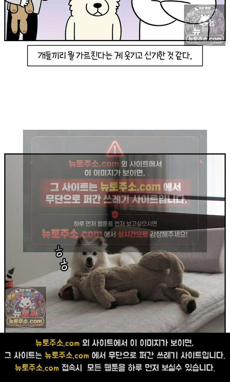극한견주 시즌2 110화 괴도솜숑 25