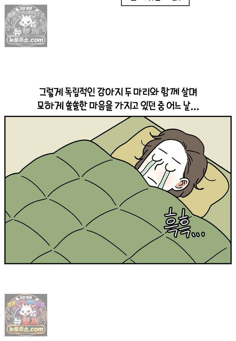극한견주 시즌2 120화 같이 자기 5