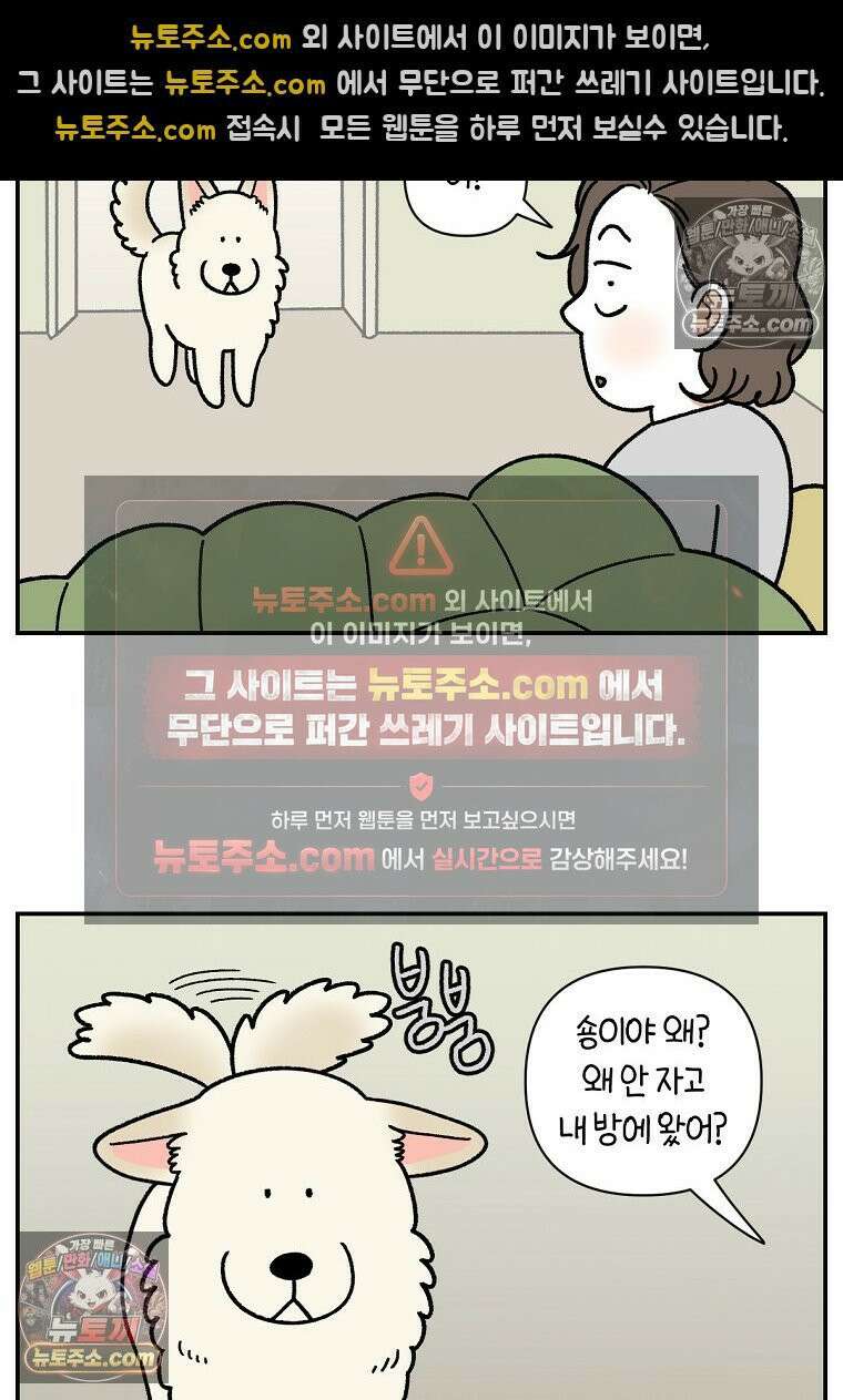 극한견주 시즌2 120화 같이 자기 7