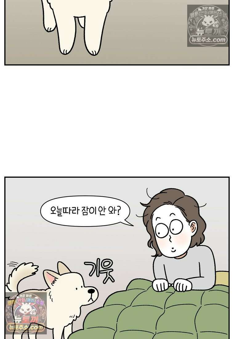 극한견주 시즌2 120화 같이 자기 8