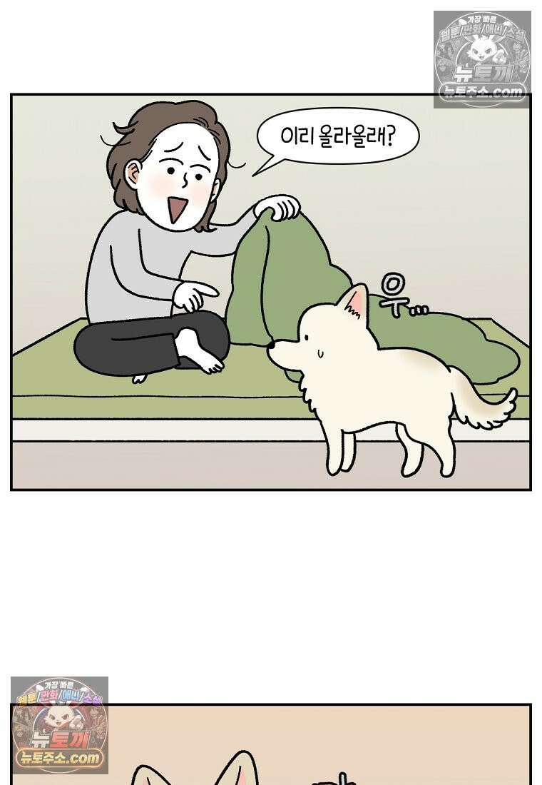 극한견주 시즌2 120화 같이 자기 10