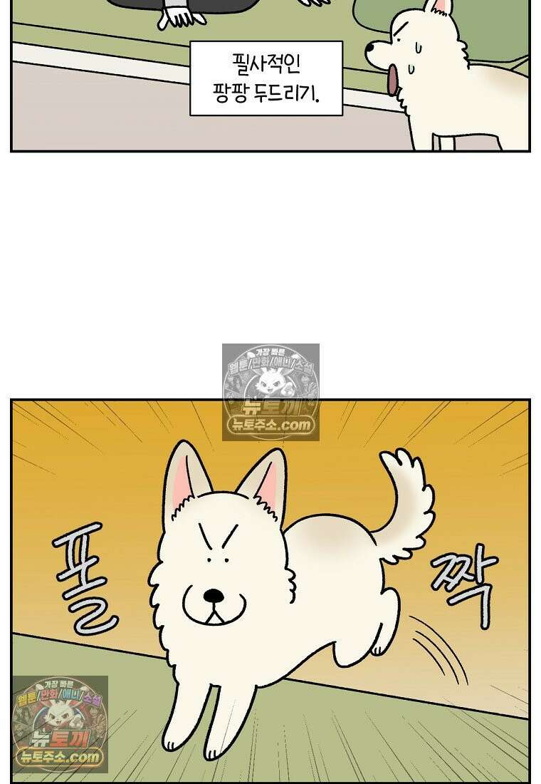 극한견주 시즌2 120화 같이 자기 12