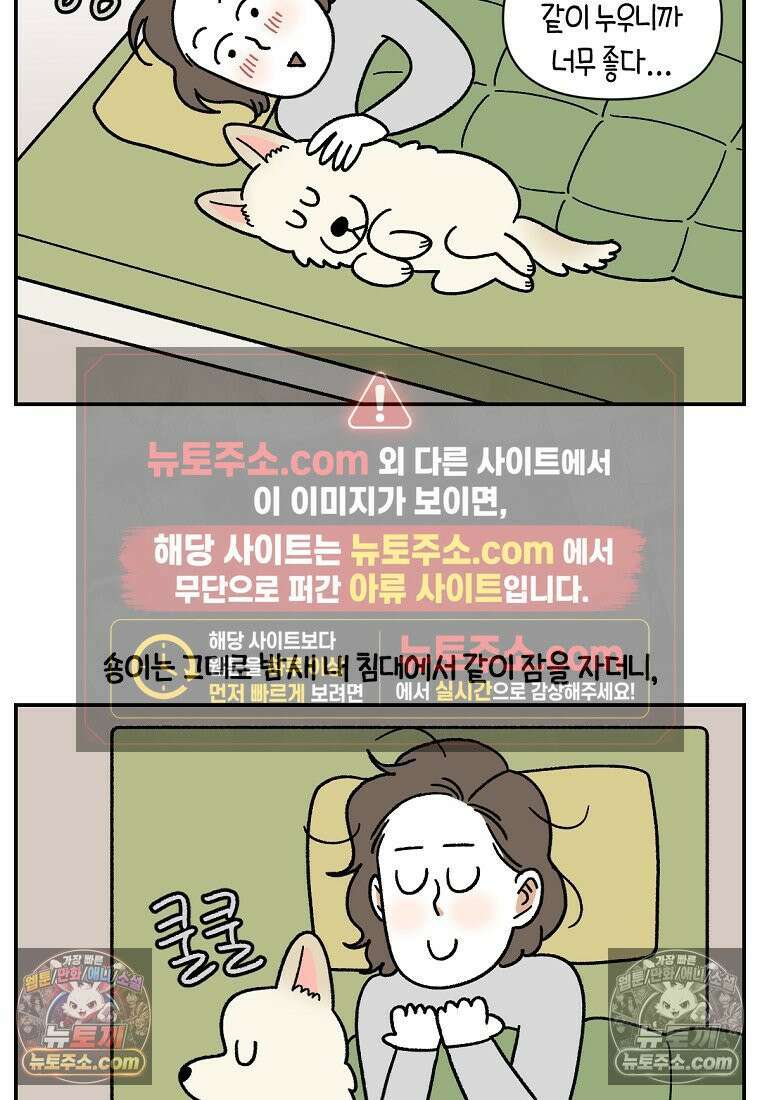 극한견주 시즌2 120화 같이 자기 16