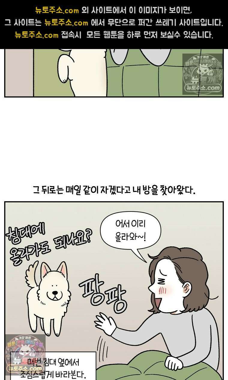 극한견주 시즌2 120화 같이 자기 17