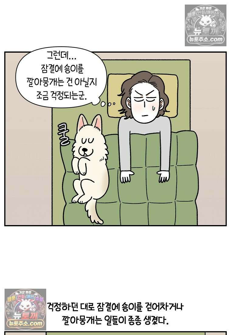 극한견주 시즌2 120화 같이 자기 19