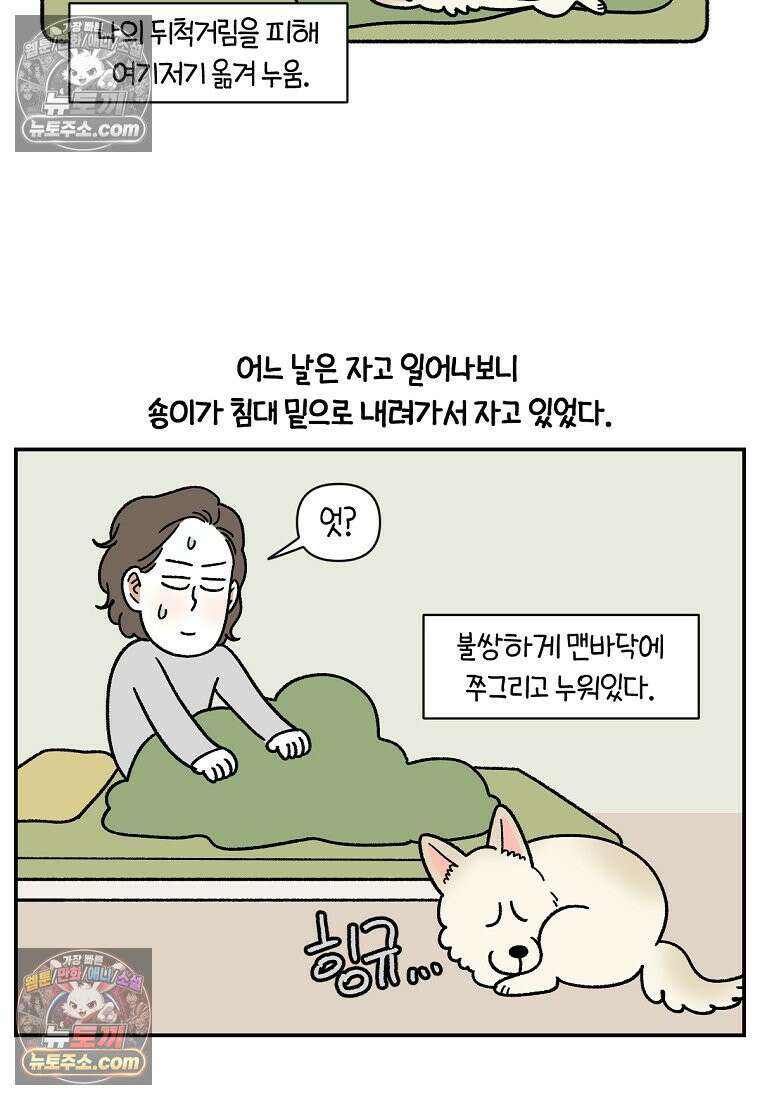 극한견주 시즌2 120화 같이 자기 22