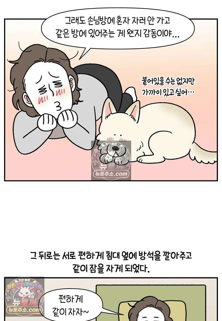 극한견주 시즌2 120화 같이 자기 24