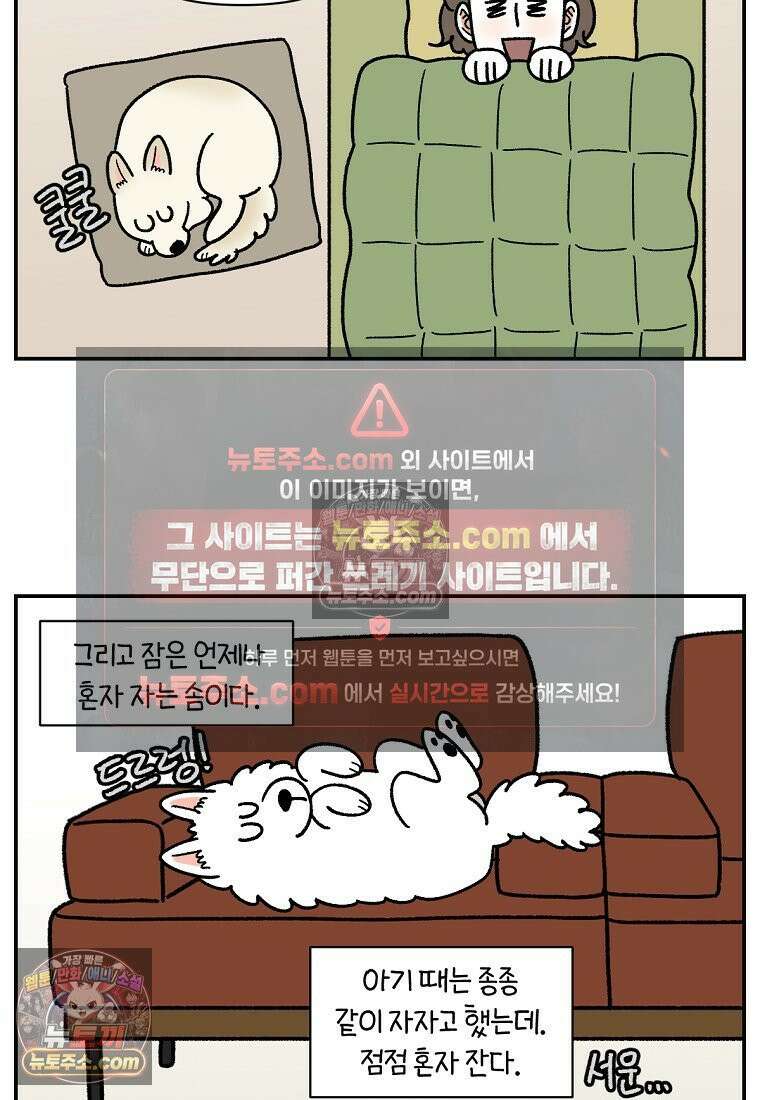 극한견주 시즌2 120화 같이 자기 25