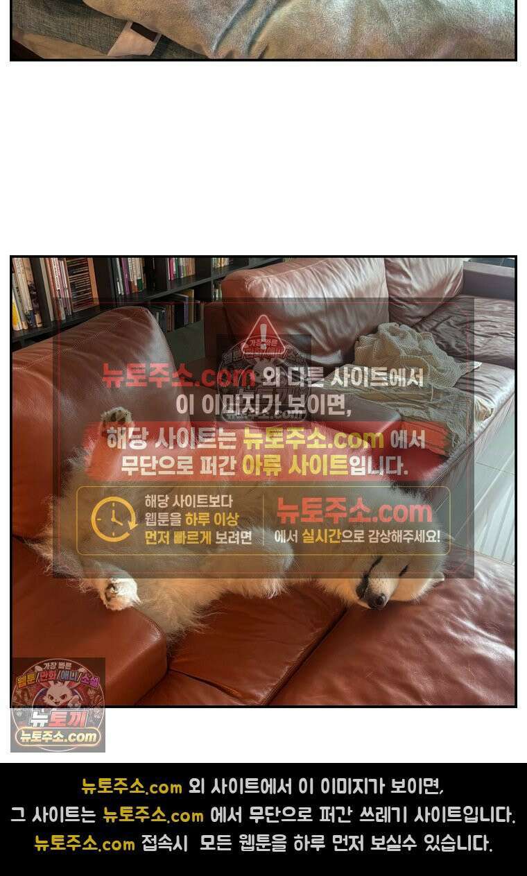 극한견주 시즌2 120화 같이 자기 27