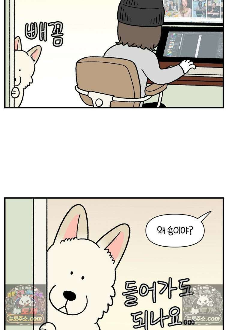 극한견주 시즌2 129화 같이 있자 3