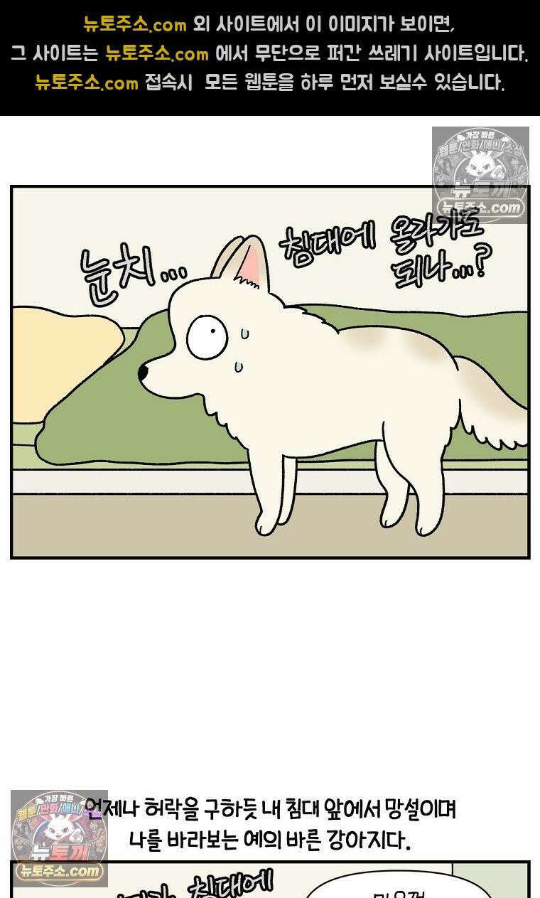 극한견주 시즌2 129화 같이 있자 6
