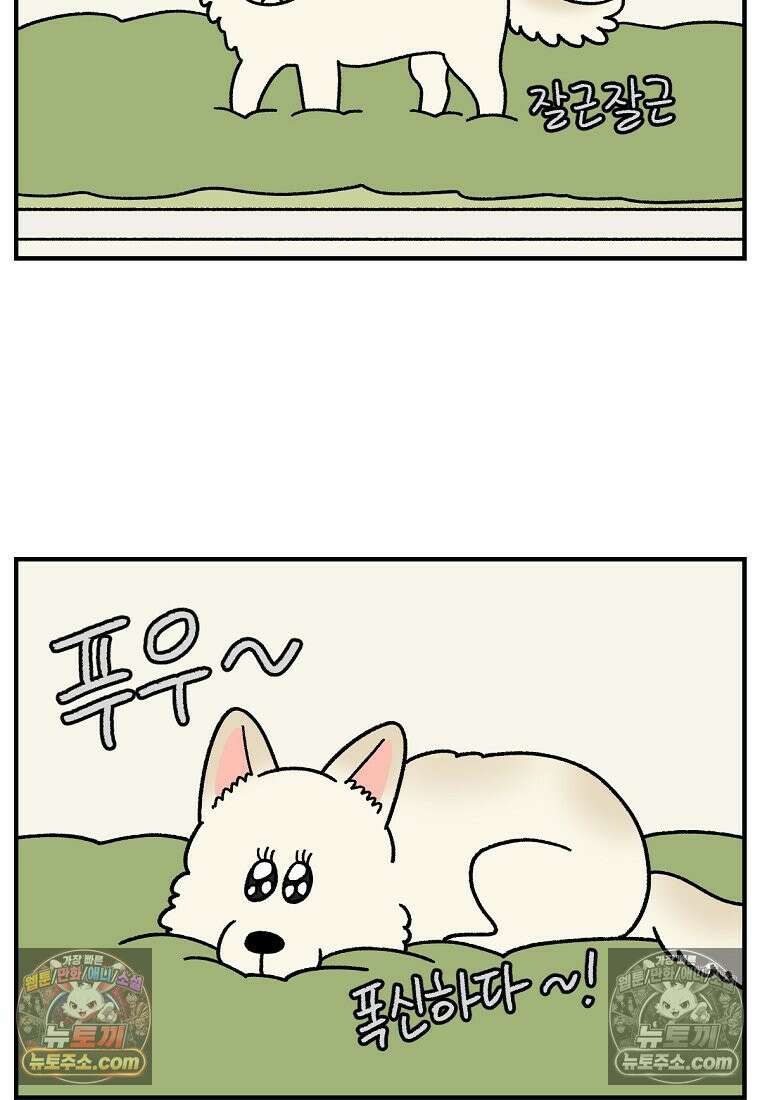 극한견주 시즌2 129화 같이 있자 8
