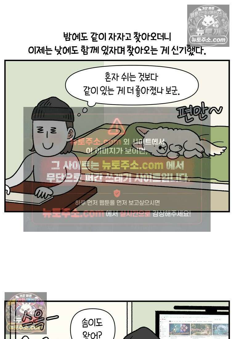 극한견주 시즌2 129화 같이 있자 10