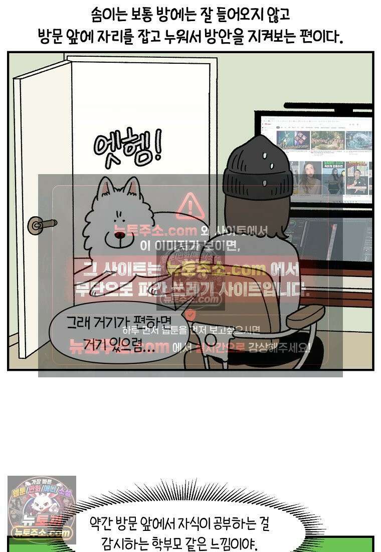 극한견주 시즌2 129화 같이 있자 13
