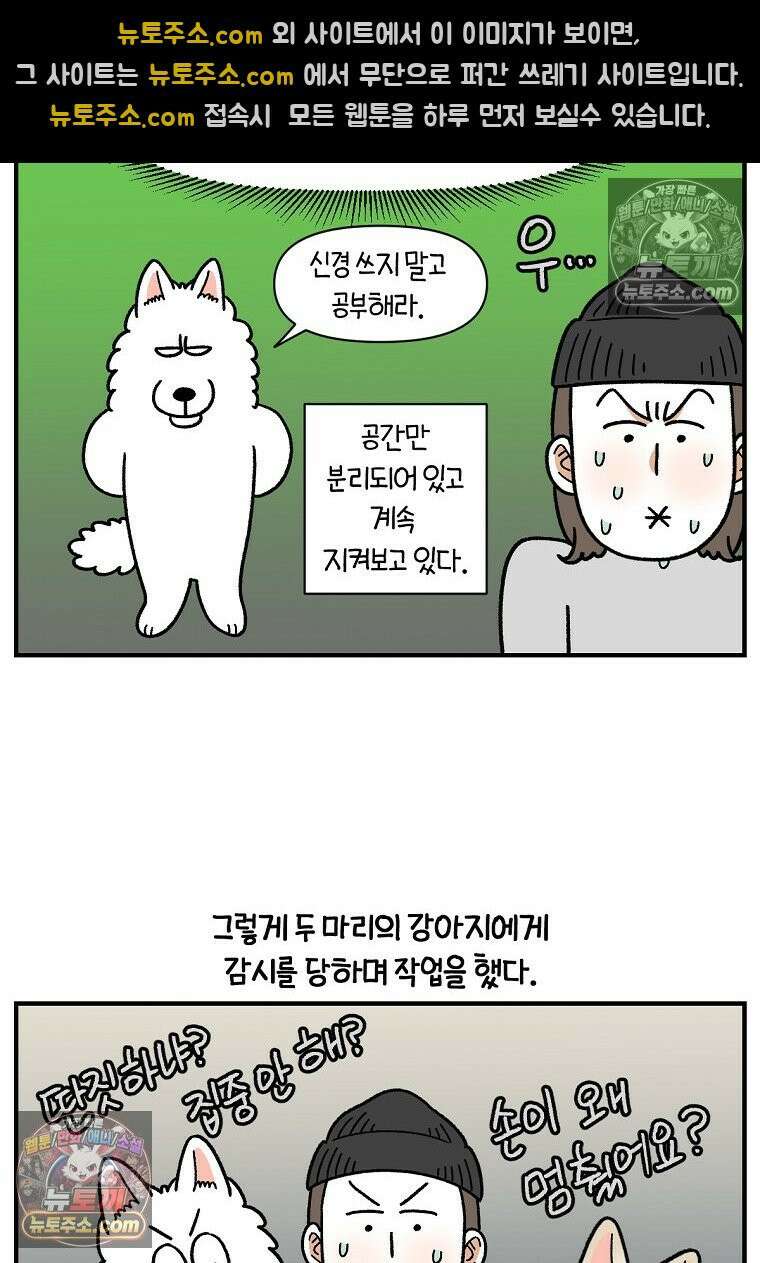 극한견주 시즌2 129화 같이 있자 14