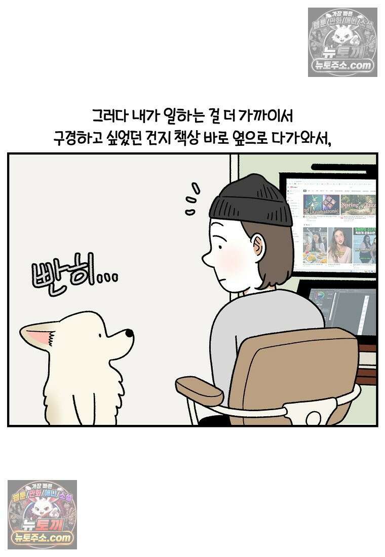 극한견주 시즌2 129화 같이 있자 16