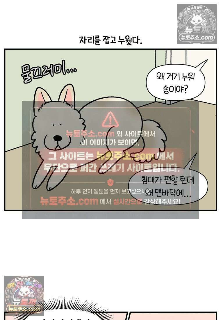 극한견주 시즌2 129화 같이 있자 17