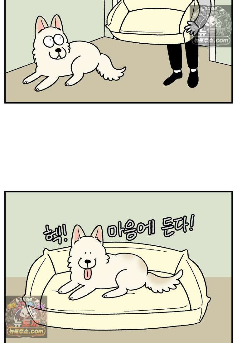 극한견주 시즌2 129화 같이 있자 19