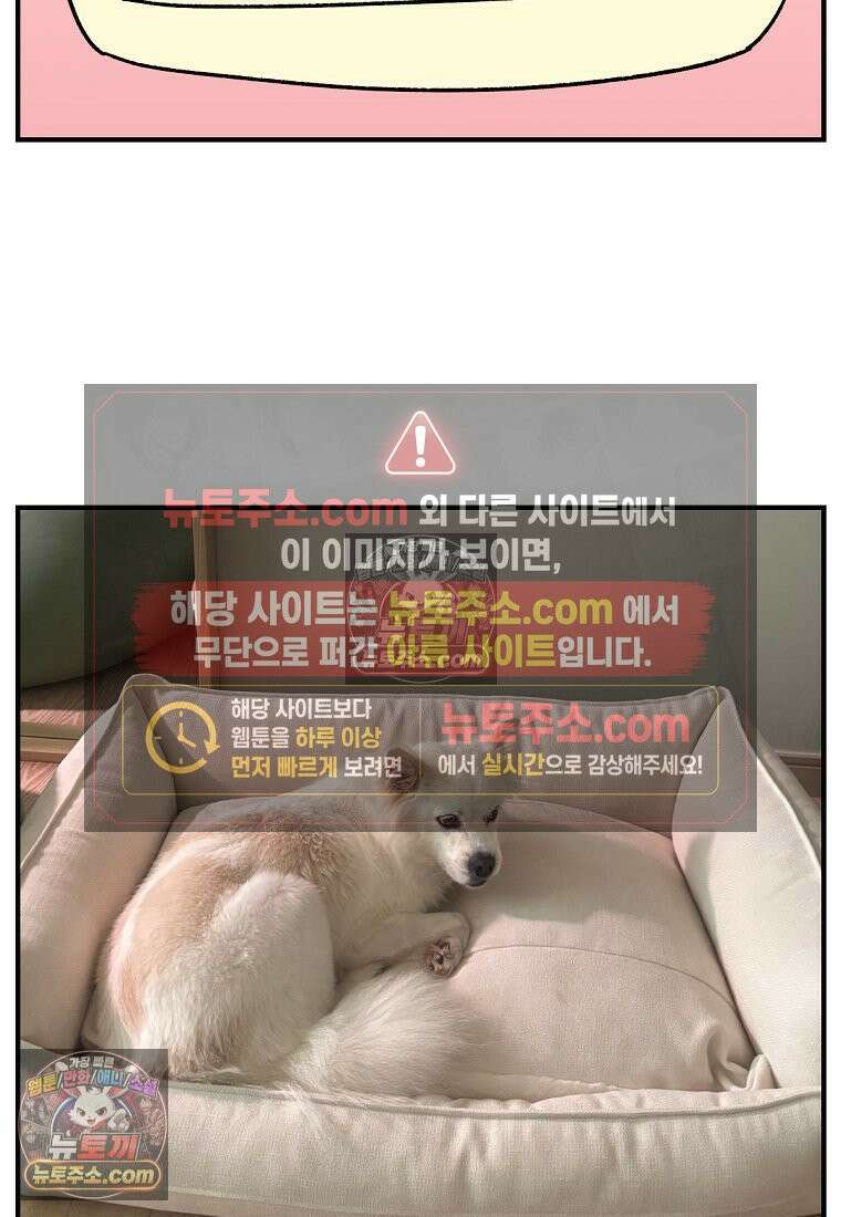 극한견주 시즌2 129화 같이 있자 25